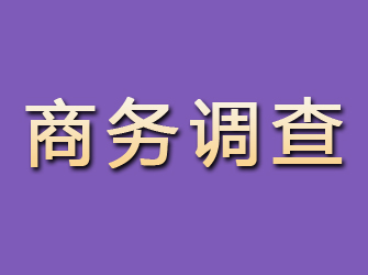 额敏商务调查